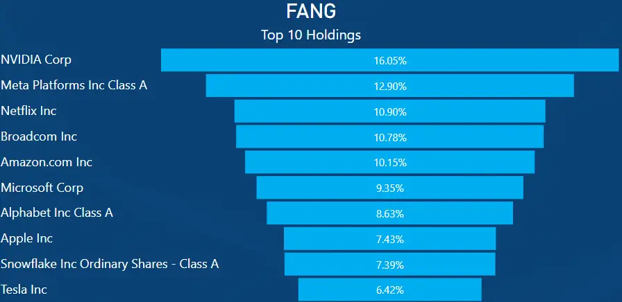 NDQ vs FANG FANG top 10 holdings